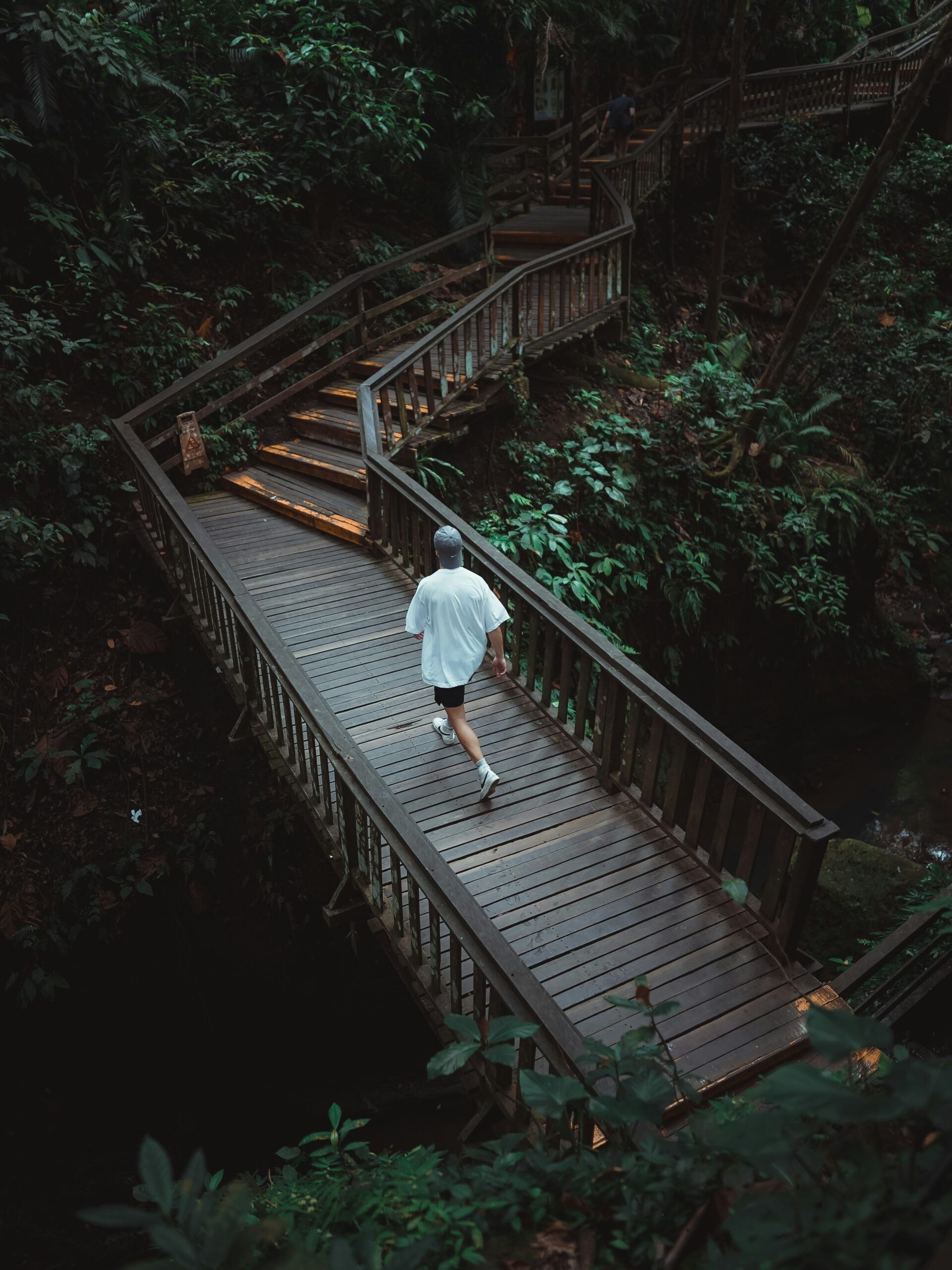 Ubud Tour 1