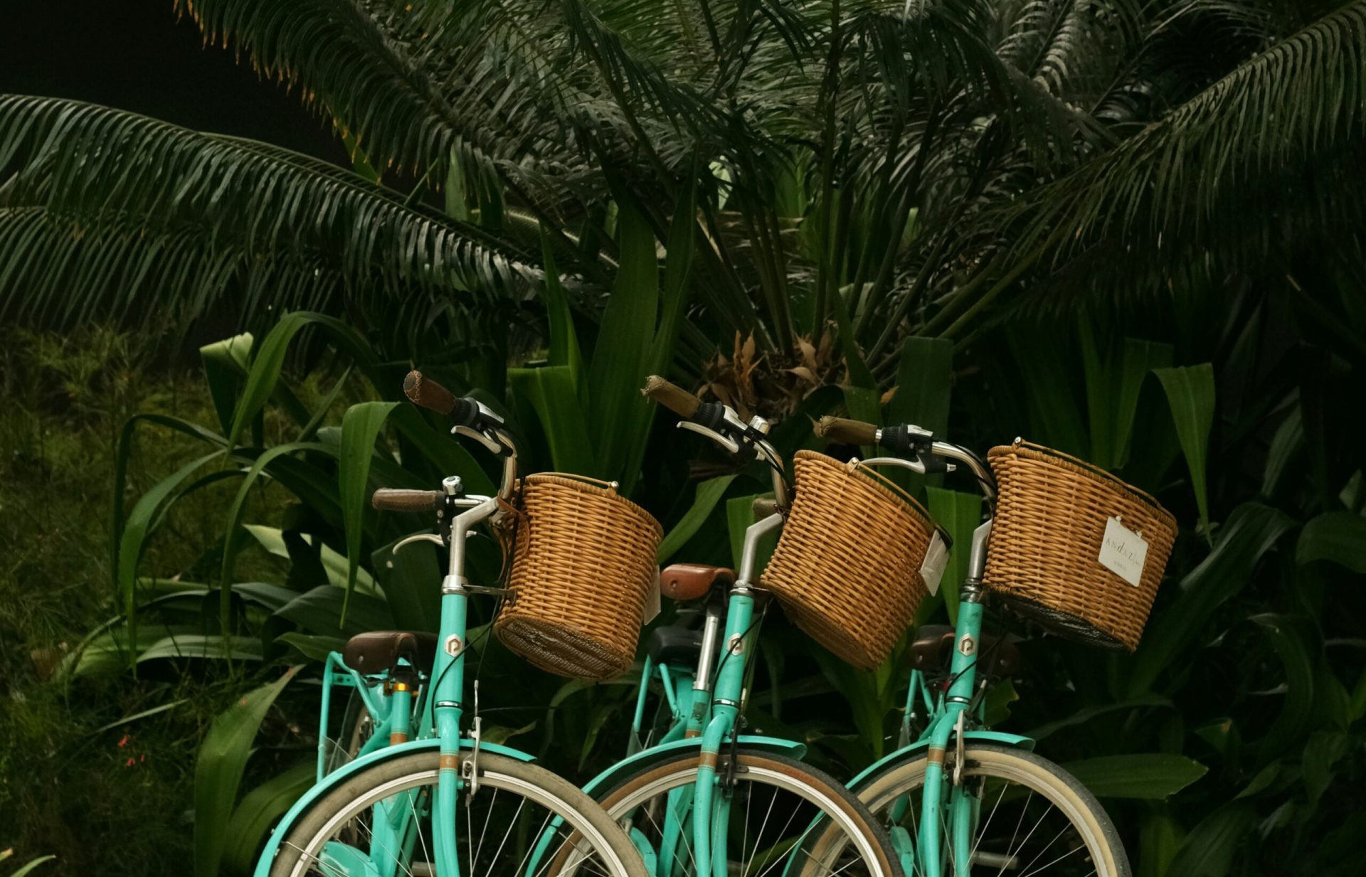 act_bike